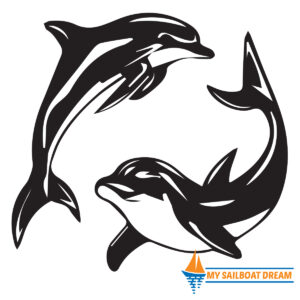 Dolphins